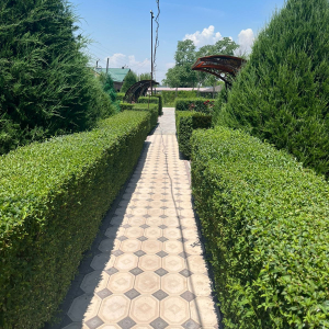 WhatsApp Image 2024 06 19 At 10.23.40